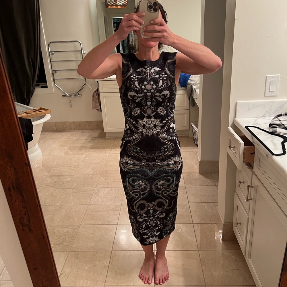 Beautiful Ted Baker dress. Size one. Like new without tags.